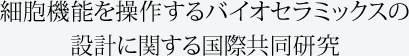 細胞機能を操作するバイオセラミックスの設計に関する国際共同研究